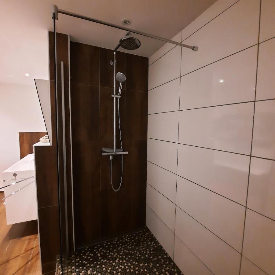 Full Flat 3 Bedrooms Saarbrucken Center -11 People Екстериор снимка